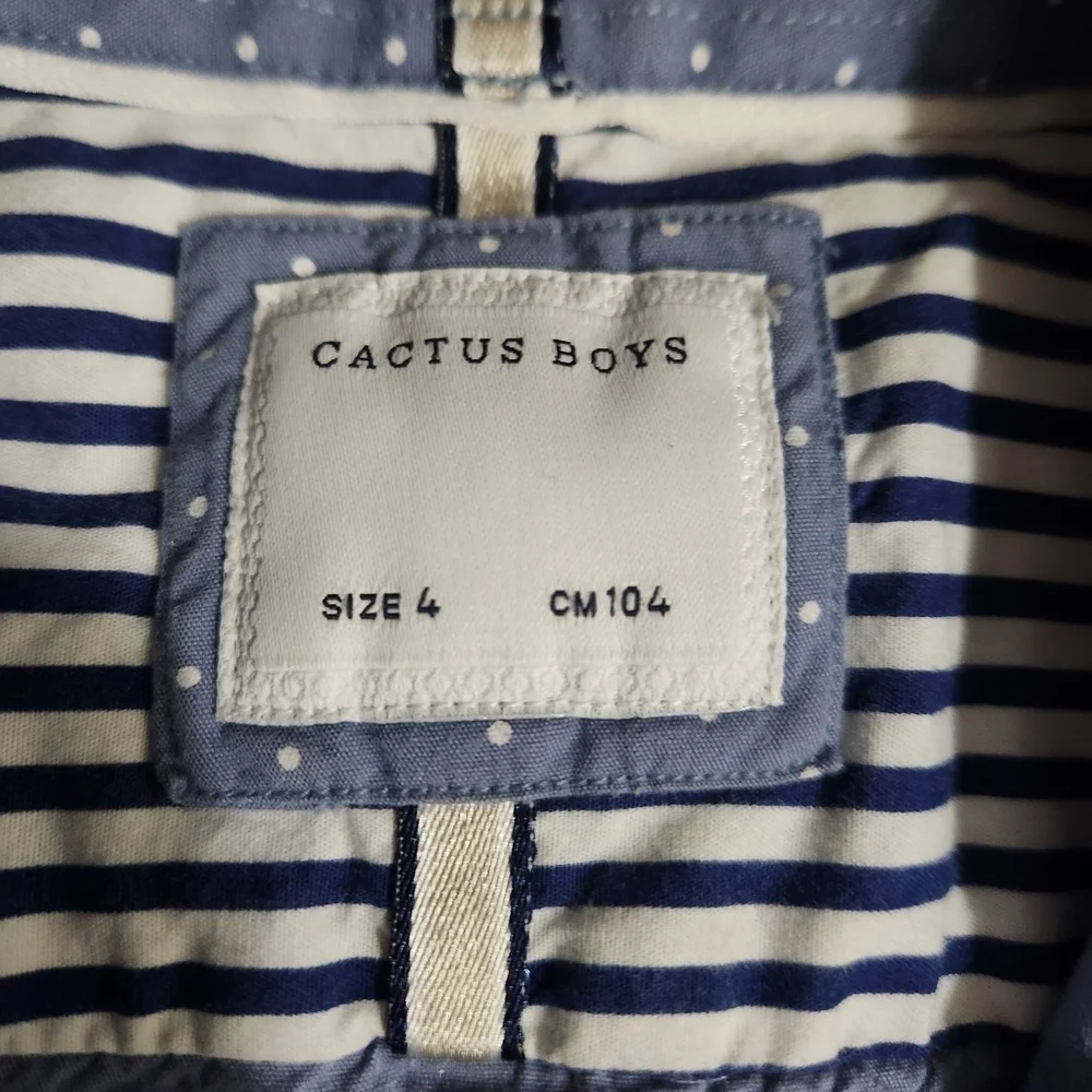 Toddler Boys Button-Down Shirts